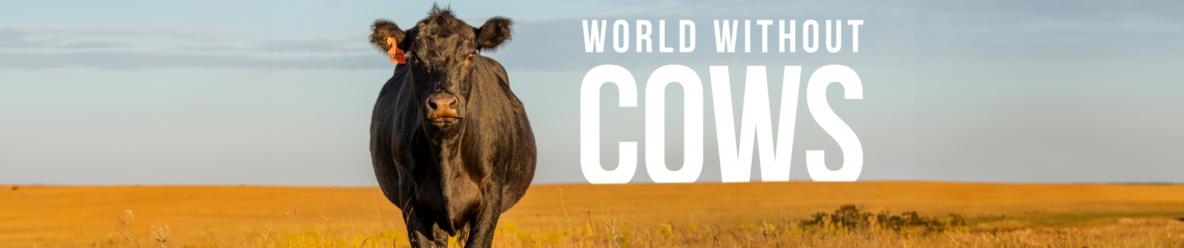 Imagen de portada del evento.